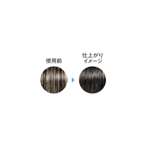 アクセーヌ ナチュリエ ヘアカラー N